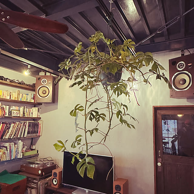 tsune_houseさんの実例写真