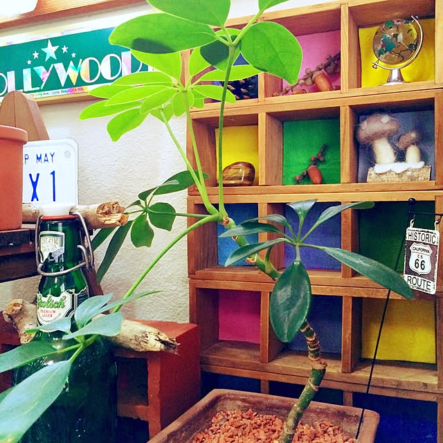 cj69さんの実例写真