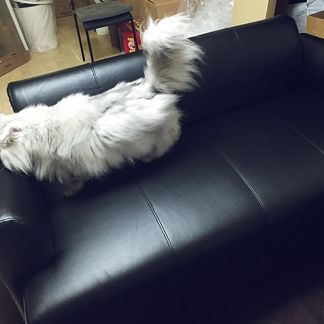 TOMOさんの実例写真
