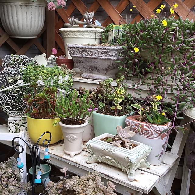 mukkuさんの実例写真