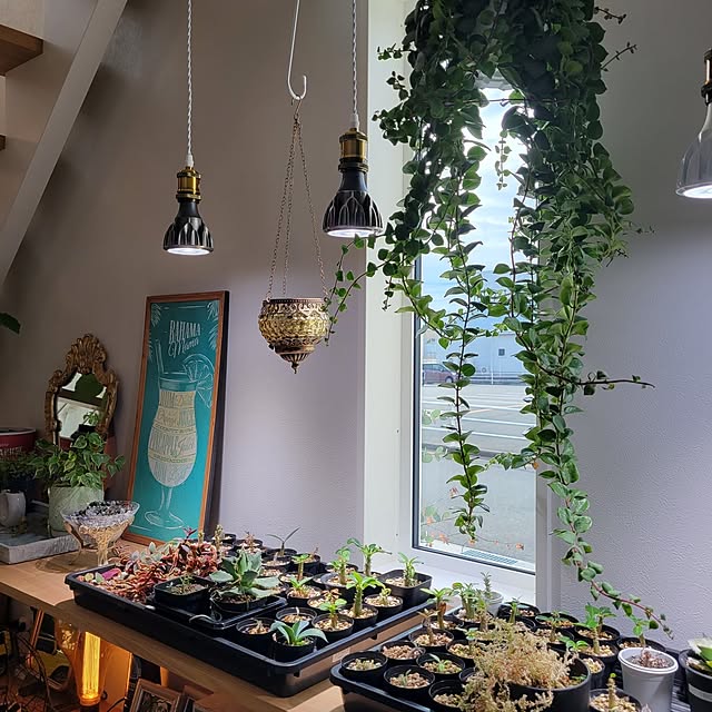 nonbiri_house_さんの部屋