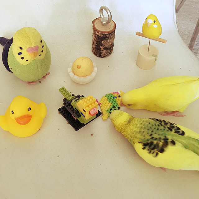 macaronさんの実例写真