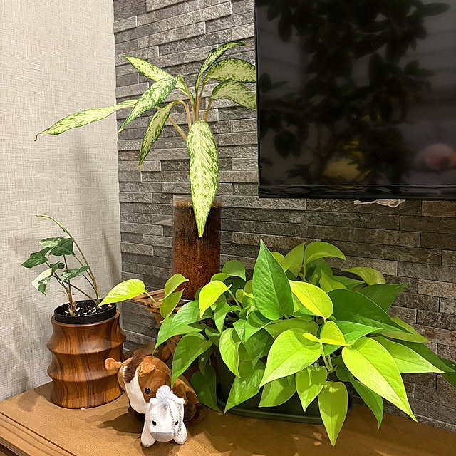 ikuzakさんの部屋
