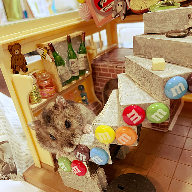 s.nikoさんの実例写真