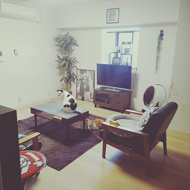 noguchiken0102さんの実例写真
