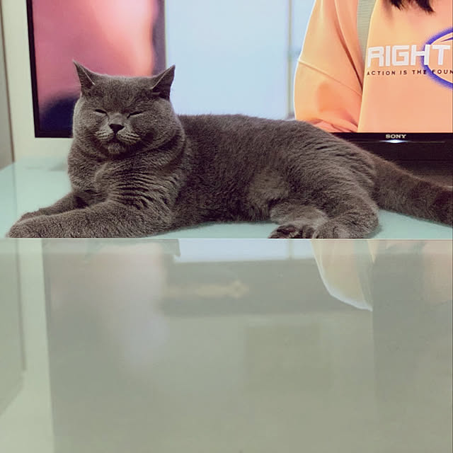 kittyさんの実例写真