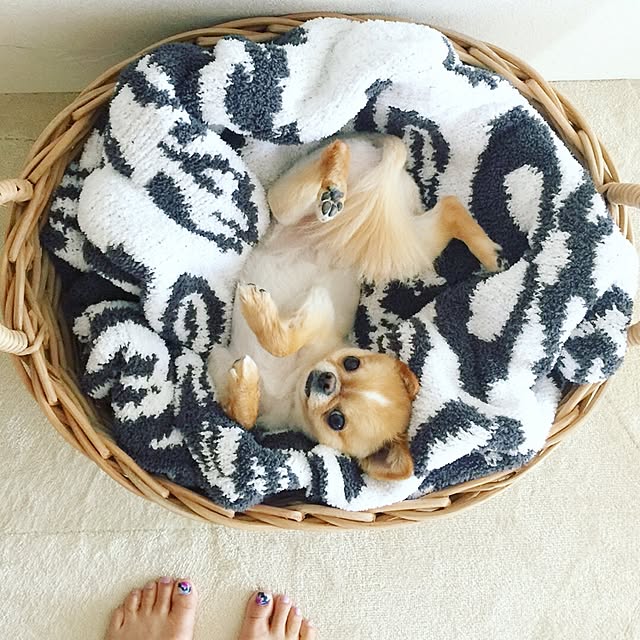 haruhinaさんの実例写真