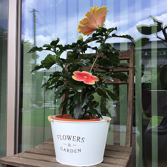 houenさんの部屋