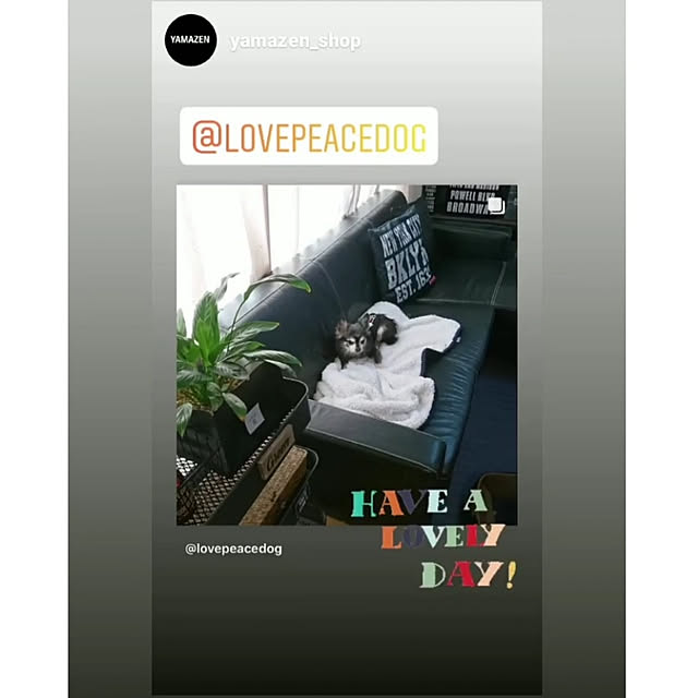 lovepeaceさんの実例写真