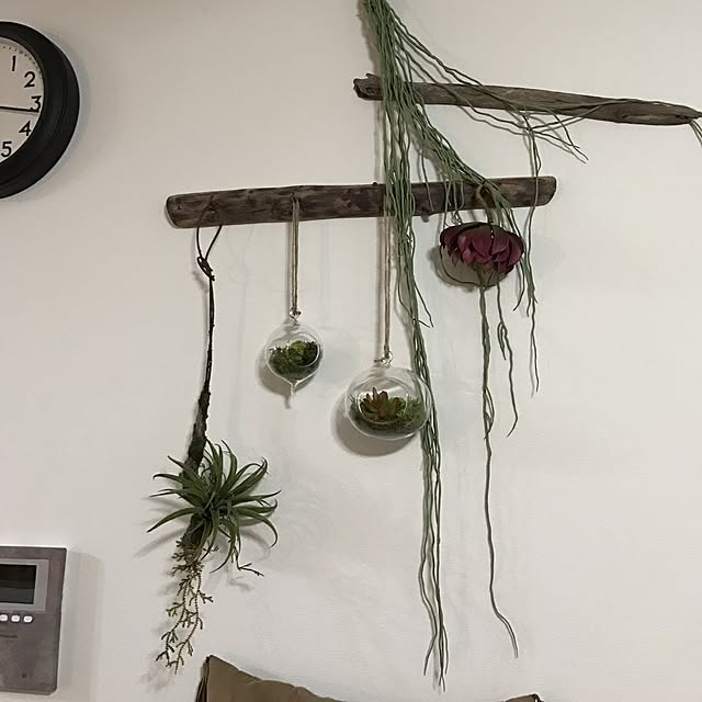 akn9095さんの実例写真