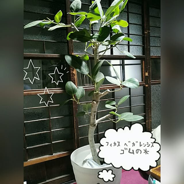 atarasiioutiさんの実例写真