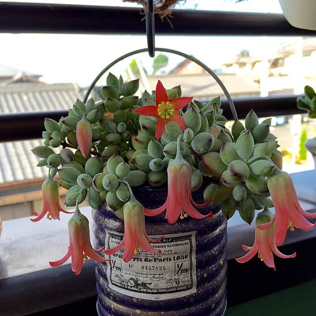vam-06さんの実例写真