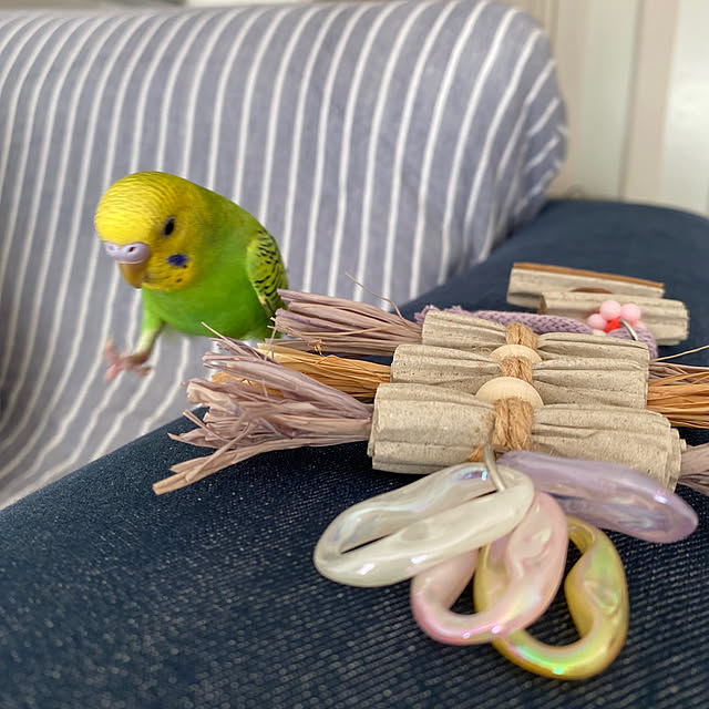 ohanaさんの実例写真