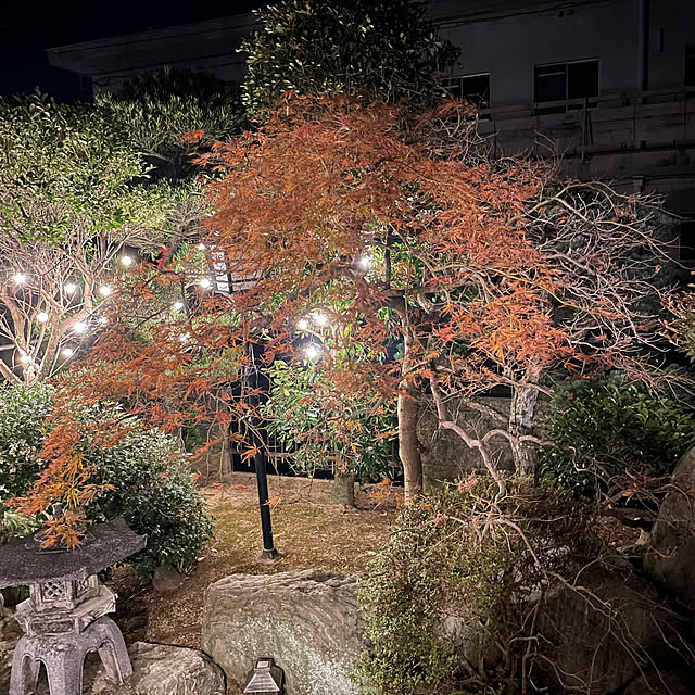 shin0719さんの実例写真