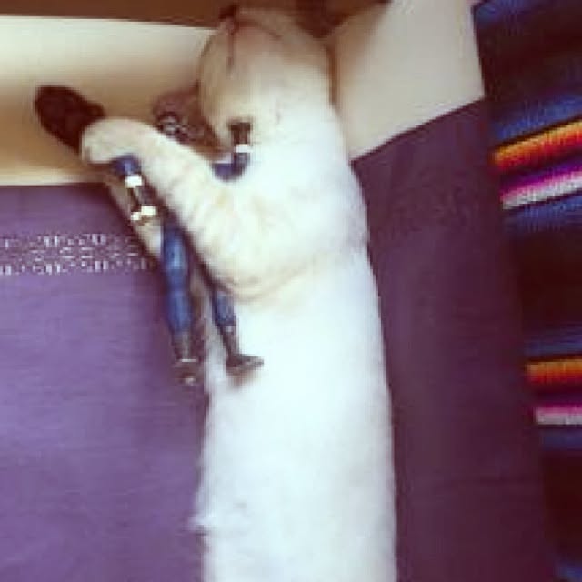 kmstmさんの実例写真