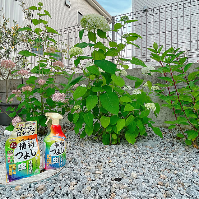sumichi.f2021さんの実例写真
