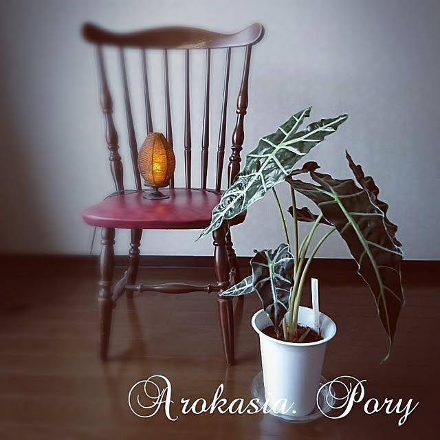 Natashyaさんの実例写真