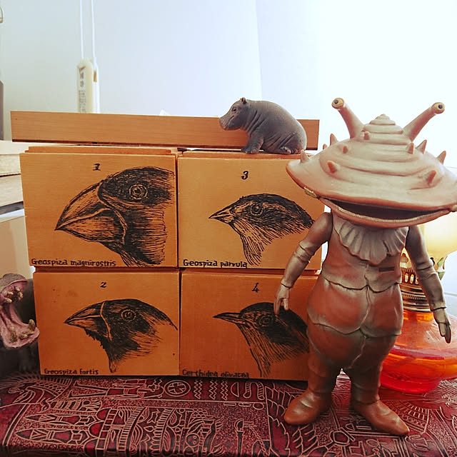 nonononakaさんの実例写真