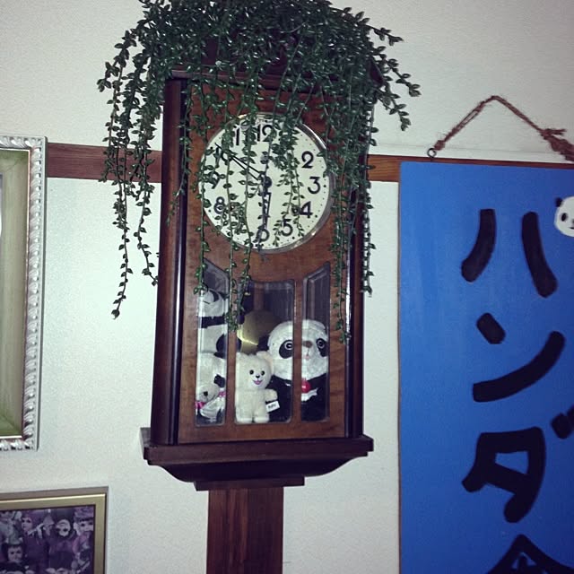 pandasyokudoさんの実例写真