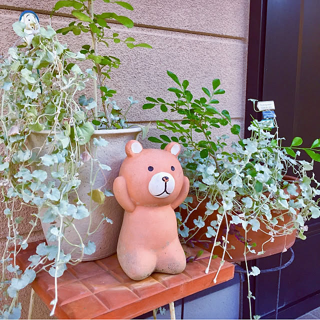 takakoさんの実例写真