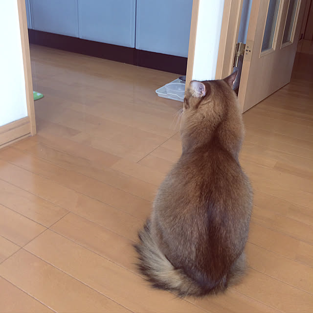 Yumiさんの実例写真