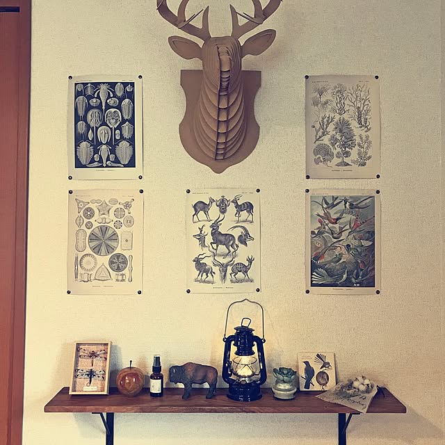 Anne_Yukiyanagiさんの実例写真