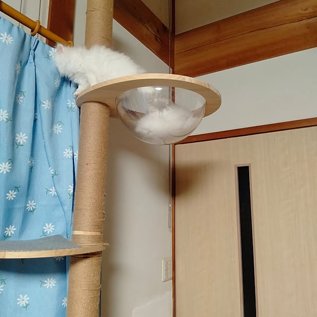 makaronさんの部屋