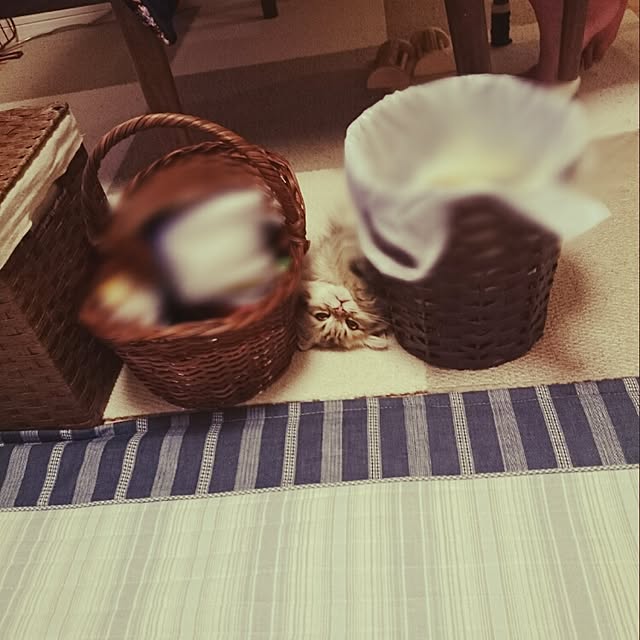 hanaさんの実例写真