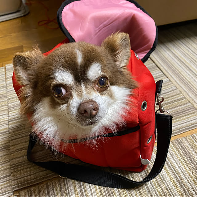 chIoeさんの実例写真