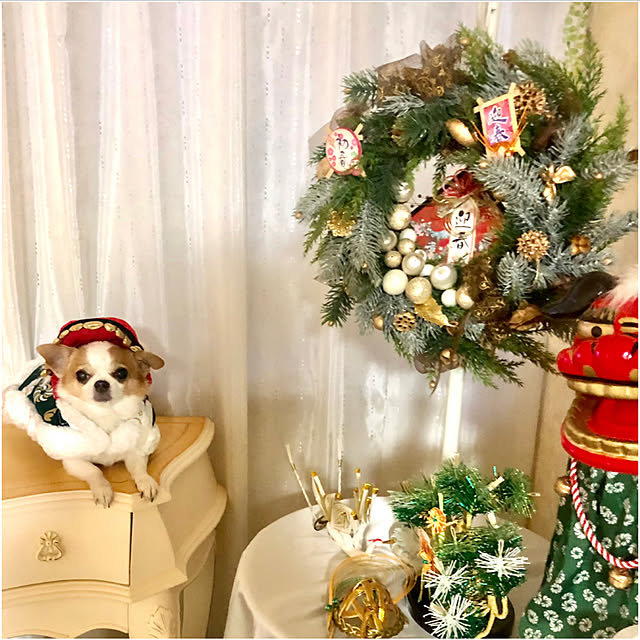 cocoさんの実例写真