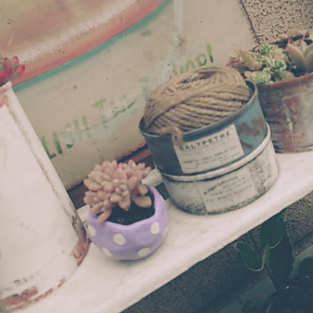 soraさんの実例写真