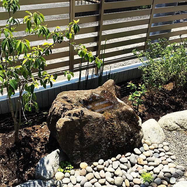 frog_0101さんの実例写真