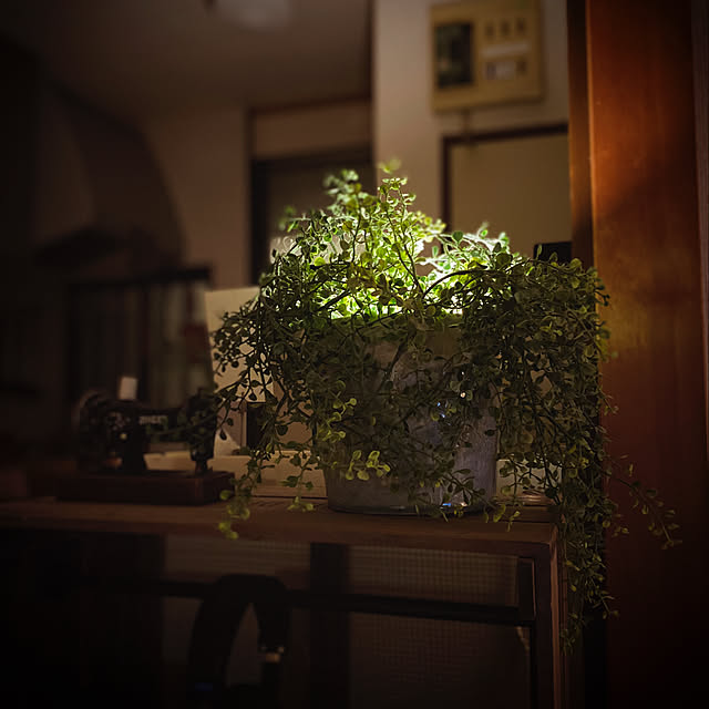ryu.flatさんの実例写真