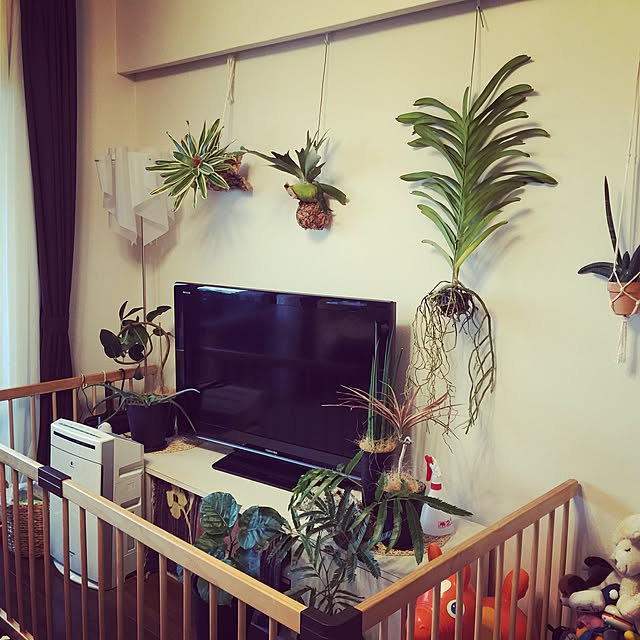 0586さんの部屋