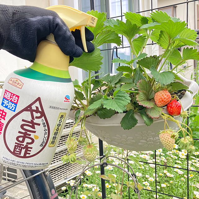 kuroさんの実例写真