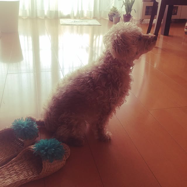 yさんの実例写真