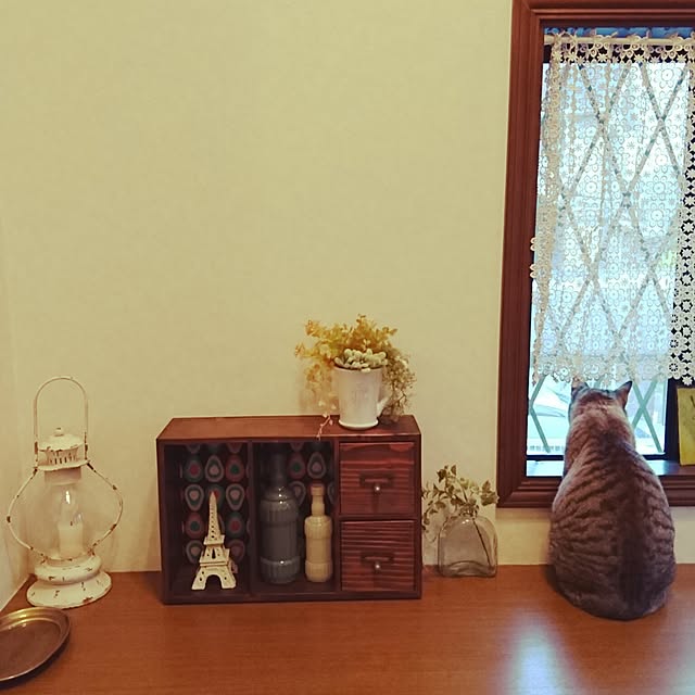 genさんの実例写真