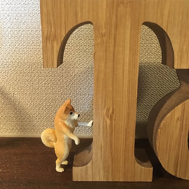 Chayaさんの実例写真
