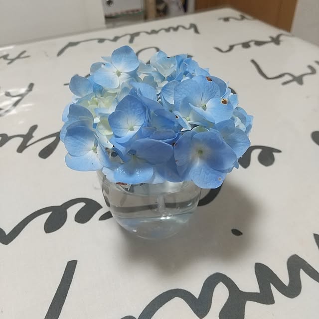 Happyhikariさんの実例写真