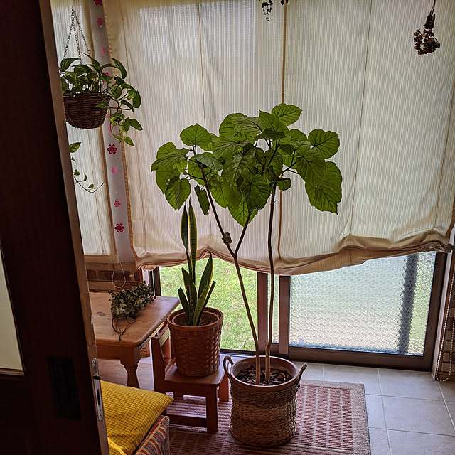 kouheiyuto24623takaさんの実例写真