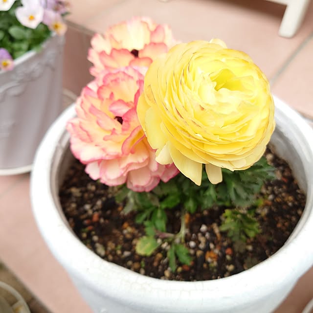 fleur-mamanさんの部屋