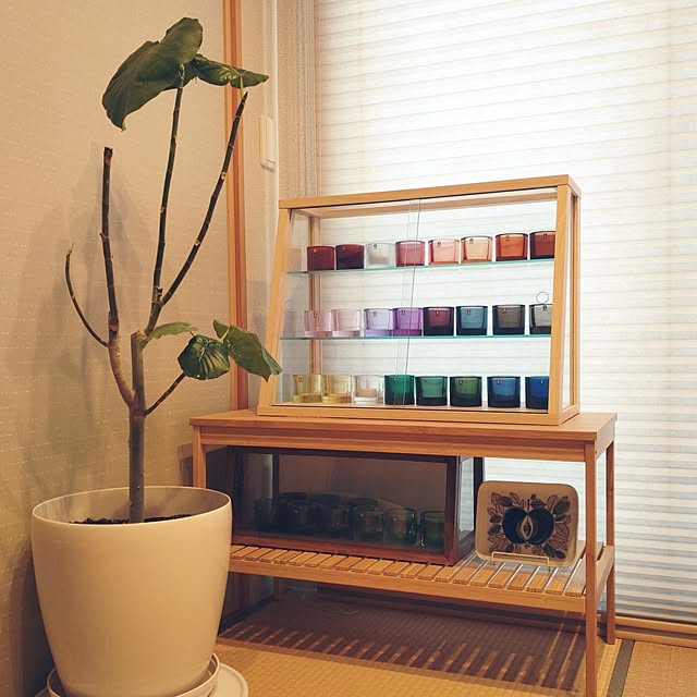 tan5さんの実例写真