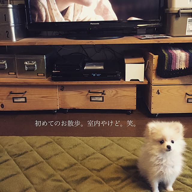 yukoさんの実例写真