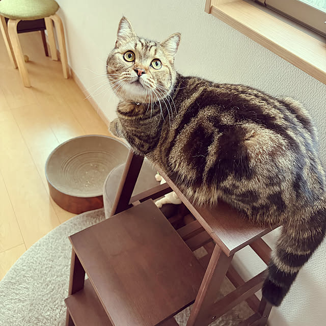 chiiさんの部屋