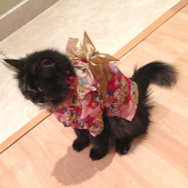 ksasaraさんの実例写真