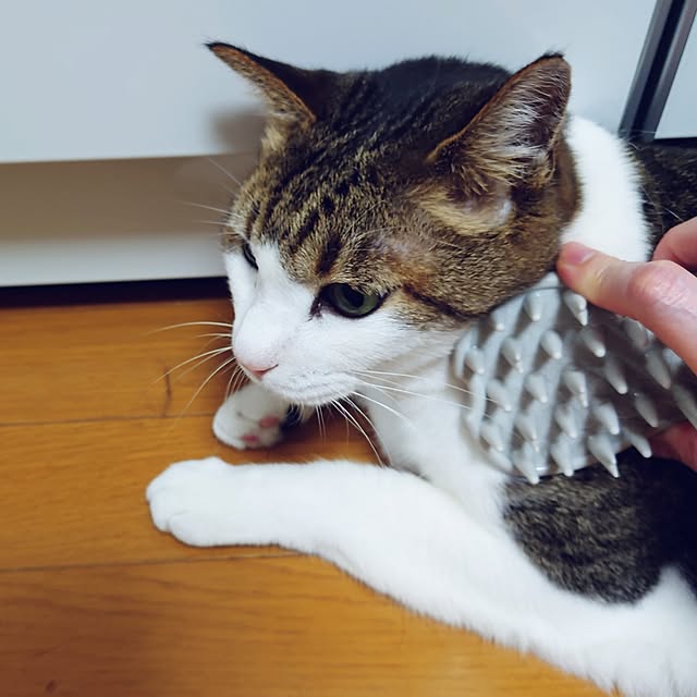 nachiさんの部屋