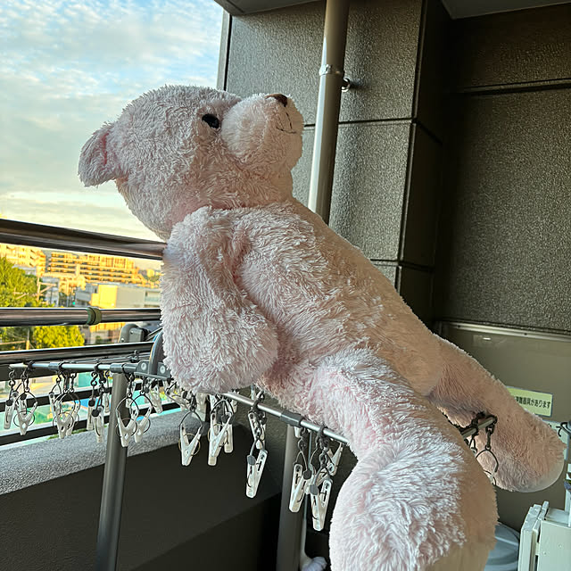 koshiregutyoさんの部屋