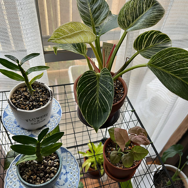 keyorinさんの部屋