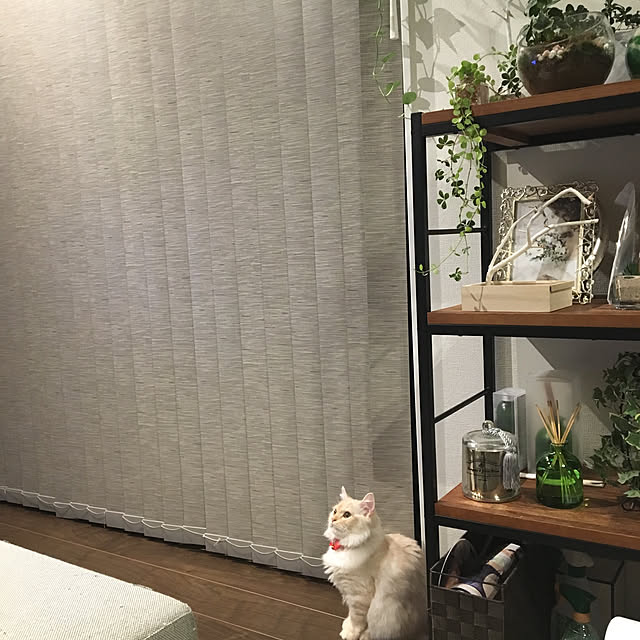takiさんの実例写真