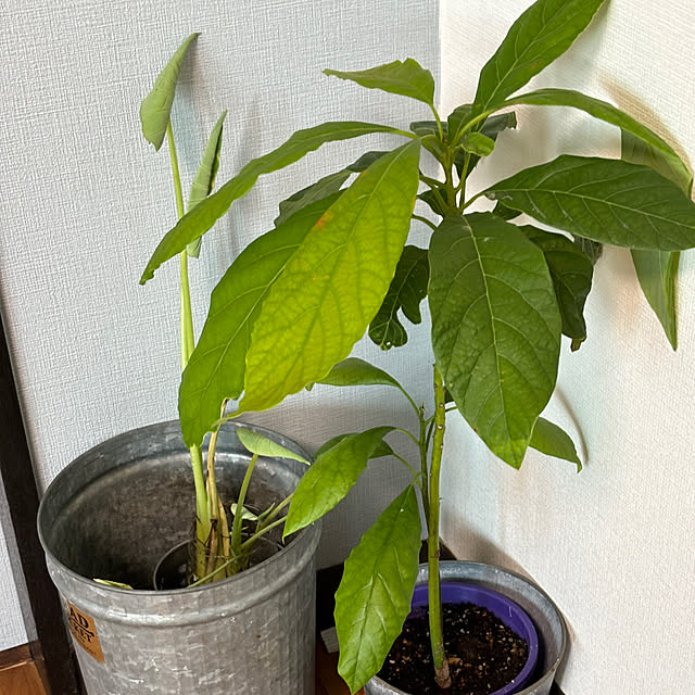 syutmmさんの部屋